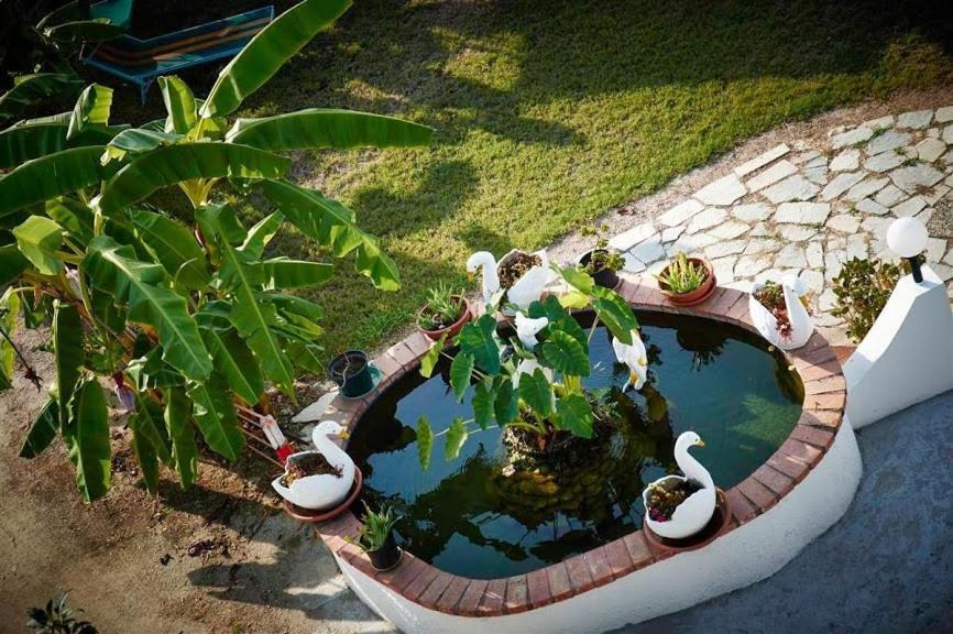 Case Vacanze Giardino Parghelia Luaran gambar